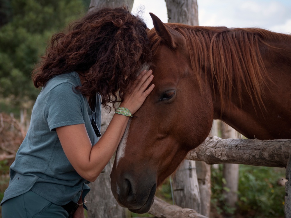 A woman resting her forehead against Tango's, an equine energy-healing horse.